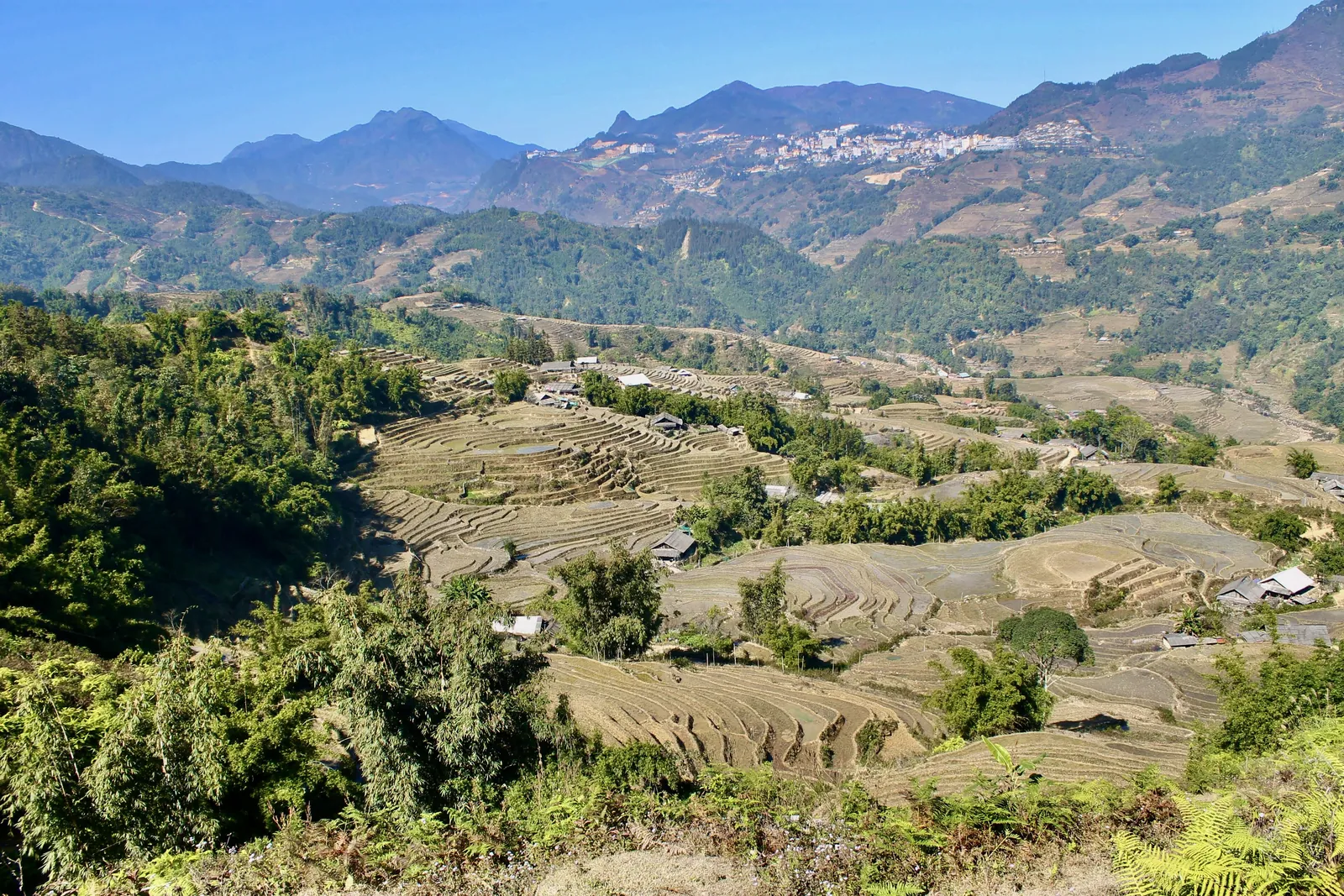 Terraced rice fields in Sapa, northern Vietnam